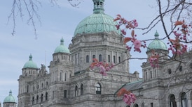 World Cup costs to be revealed after B.C. legislative session ends