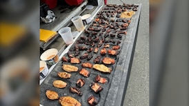 $11,600 in fines for 3 men caught illegally harvesting sea cucumbers on Vancouver Island