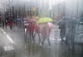 Several rain, snow warnings in effect in B.C.