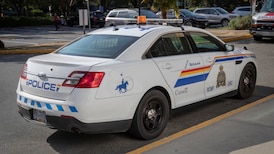 14 people arrested in one-day anti-theft operation in Richmond: RCMP