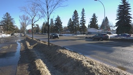 ‘It’s not normal to be normal’: Chief meteorologist on Edmonton’s ‘false spring’