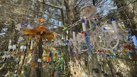 B.C. woman grows all-season garden of chandeliers