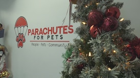 Organization hosts pet-focused celebration for first Christmas in Edmonton