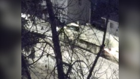 Police seeking witnesses in Grande Prairie homicide 