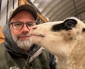 Farmers outraged as N.B. moves to privatize large-animal vet service 