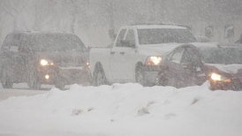Poor visibility, blowing snow expected in Edmonton and surrounding areas: Environment Canada