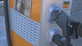 Return of federal electric vehicle rebate welcome: Alberta advocates