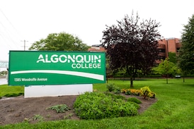 ‘Canada as a brand has suffered’: Post-secondary schools react to AG report on international students