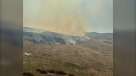 Wildfire burning ‘out of control’ in B.C.’s Thompson-Okanagan region 