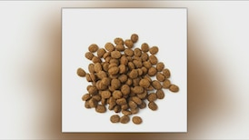 Salmonella outbreak linked to dog food and treats: Health Canada