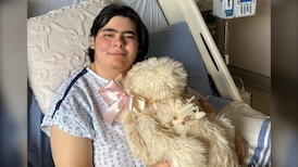 Tumbler Ridge shooting survivor leaving hospital, heading home 