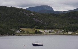 Gas prices cast shadow over Canada’s favourite summer pastime: boating season 