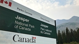 Traffic delays expected in Jasper National Park as crews remove hazard trees
