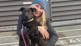‘Grab life by the horns’: B.C. woman channels Viking energy on quest to rescue dogs  