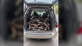 More than 20 catalytic converters recovered, suspect arrested in Abbotsford: police