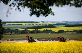 ‘A lot more work’: Canadian farmers react to suspension of some canola tariffs from China