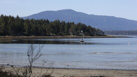 Scuba diver’s death in B.C. a ‘tragic incident,’ police say as investigation underway