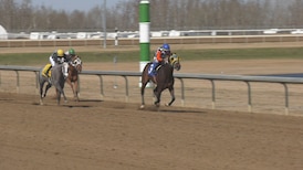 Competitive horse racing back for 2026 season at Century Mile Racetrack 