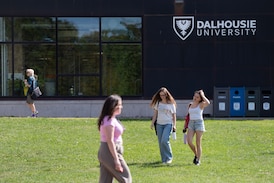 Auditor general report finds reforms to international student program ‘fell short’