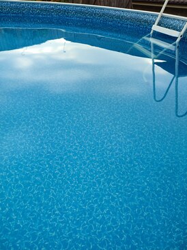 3-year-old boy dies after being found in backyard pool