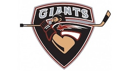 ‘You good-lookin’ girl’: Vancouver Giants fined for scout’s comment during draft