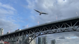 Vancouver council looks to reprioritize funding for Granville Bridge suicide prevention fence following death