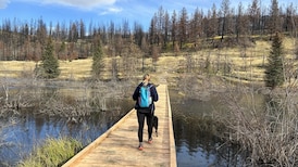 Valley of the Five Lakes trail in Jasper National Park to reopen almost 2 years after fire