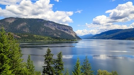 B.C. real estate agent fined $20K for ‘false or misleading advertising’ on road access to rural land