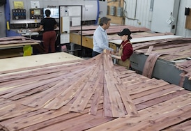 CBSA launches probe into possible dumping of Chinese plywood