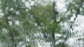 Rainfall warning issued for Metro Vancouver