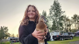 Tumbler Ridge shooting victim Maya Gebala is out of intensive care: dad