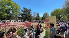 Canadian Tulip Festival wrapping up its 74th season