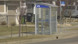 Senior sprayed with fire extinguisher in ‘unprovoked’ attack at bus stop