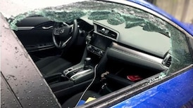 Keep valuable holiday shopping out of cars: EPS