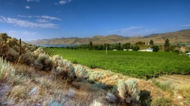 These are B.C.’s top 50 wines, according to local industry group